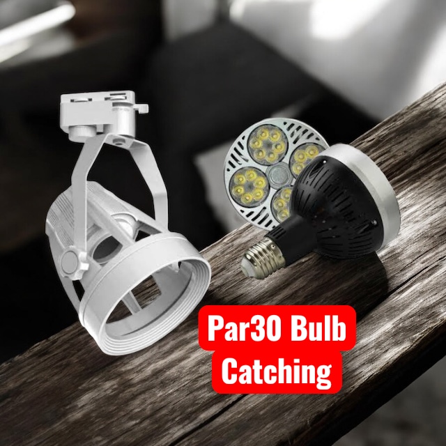 Par30 Bulb Catching White (image for) Par30 Bulb Catching White